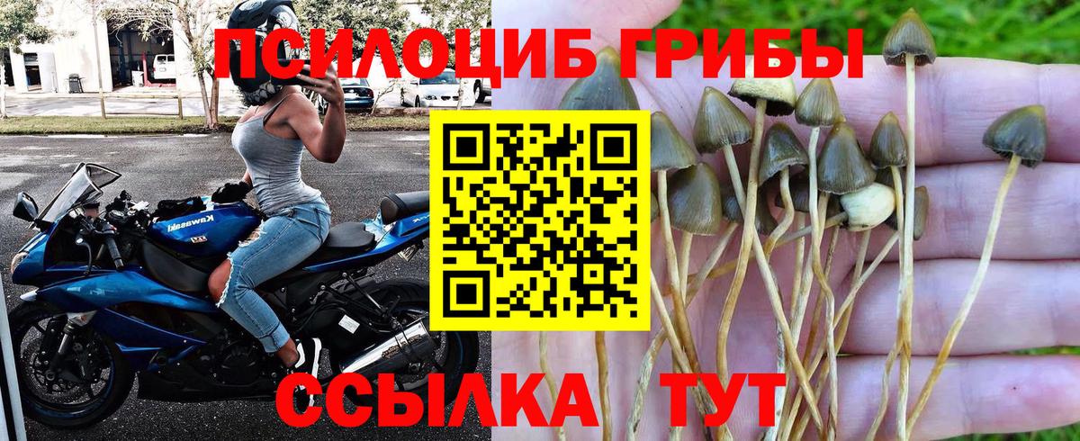 Краснодар  Галлюциногенные грибы Magic Shrooms  Вход с VPN  Псилоцибиновые грибы Magic Shrooms 